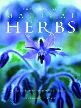 Herbal Magic for Beginners: Essential Tools and Techniques